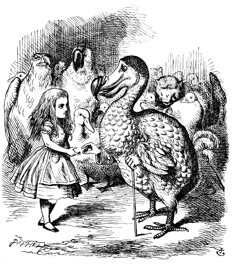 De dodo wordt vermeld in De avonturen van Alice in Wonderland (Alice's Adventures in Wonderland)