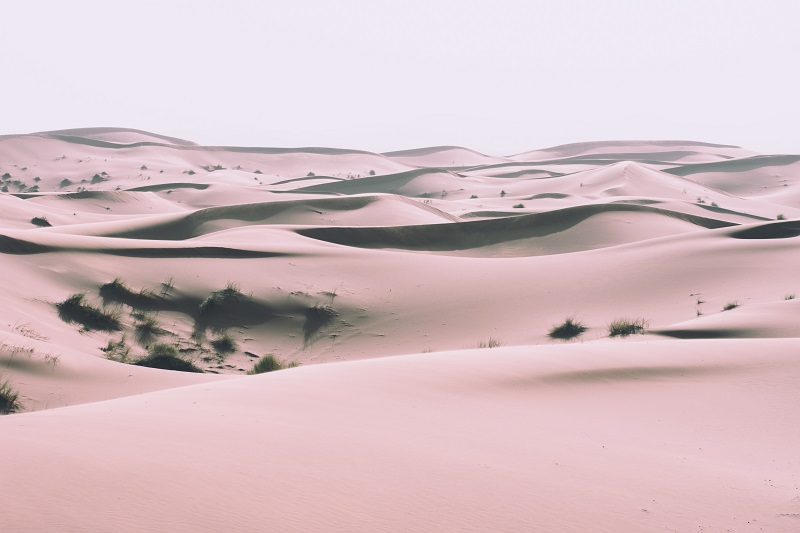 Westelijke Sahara - 2.13 personen per vierkante kilometer