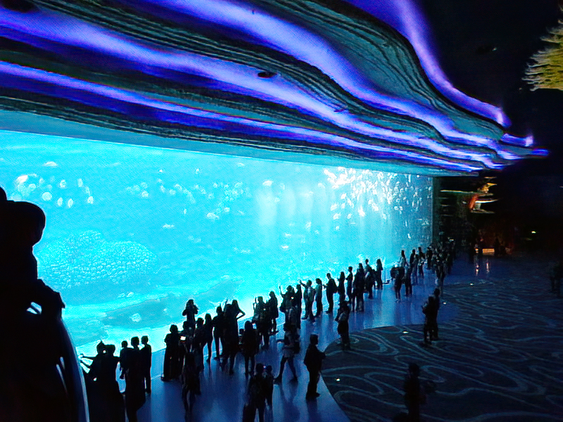 Grootste Aquariums Ter Wereld