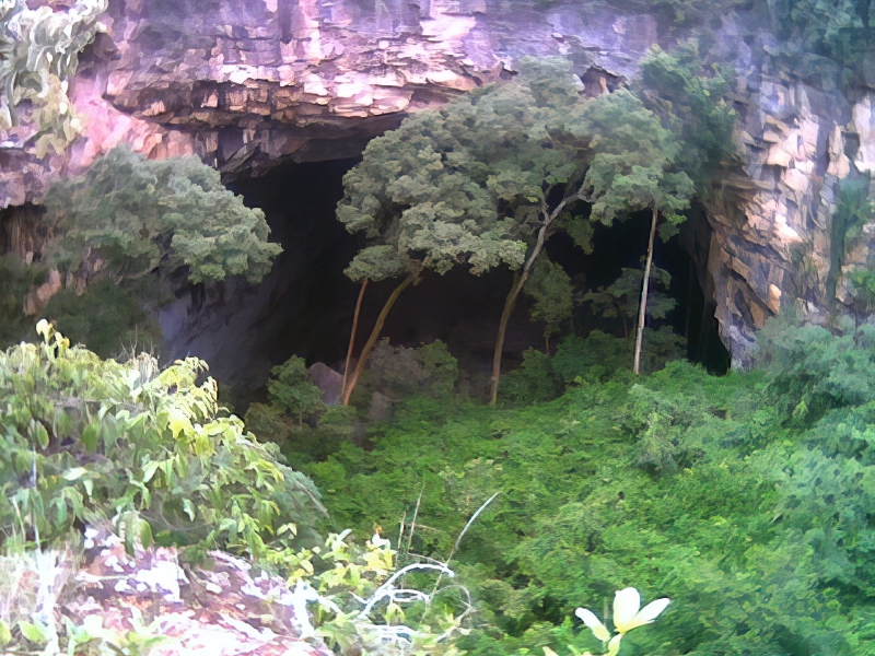 Hole of Macaws