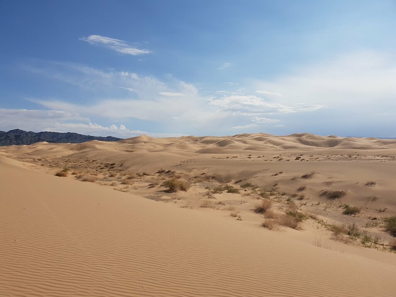 Gobiwoestijn (Gobi Desert) - 1,295,000 km²