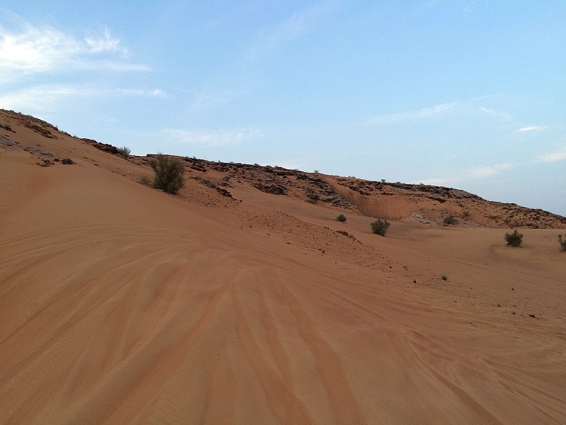 Grote Arabische Woestijn (Arabian Desert) - 2,330,000 km²