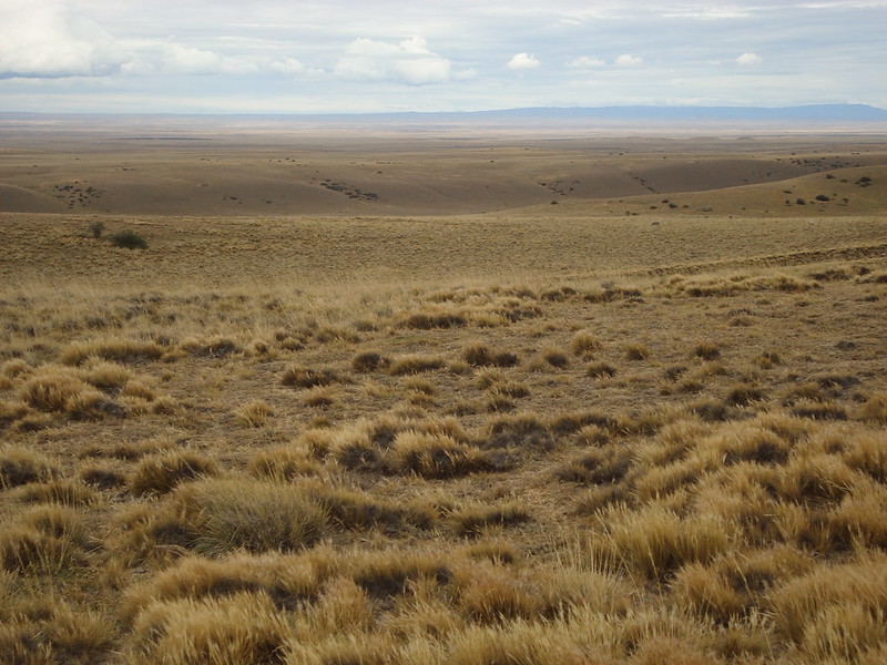 Patagonische woestijn (Patagonian Desert) - 620,000 km²